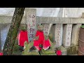 【笠間稲荷神社　東京別社 kasama inari shrine tokyo annex】空を飛ぶ狛狐さま fly in the sky guardian fox【アヒサガ find a duck】