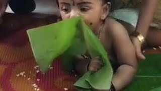 ഇതുപോലെ ഒരു ഓണം ഊണ് സ്വപ്നങ്ങളിൽ മാത്രം 😂😂😂😂 കിക്കിടെ കൂട്ടുകാരൻ കാശിക്കുട്ടൻ #comedy  #trending