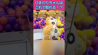 #Shorts ３本爪でひまわりのぬいぐるみを攻略！クレーンゲーム