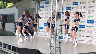 2019.6.16(日)西武ライオンズbluelegends7