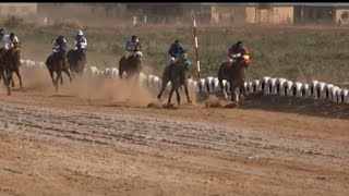 The most unique Horse Race in Nig. with Cars \u0026 millions of of Naira prizes😝😝😝