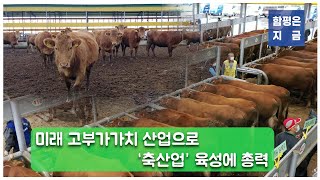 2023_함평은지금 - 미래 고부가가치 산업으로 '축산업' 육성에 총력