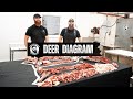 A Visual Guide to the Cuts of Deer: Learn Where Every Cut Comes From | By The Bearded Butchers