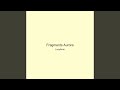 Fragments Aurora