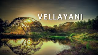 Beauty of VELLAYANI ||| വെള്ളയാണി 🌀🌀🌀Fpv cine