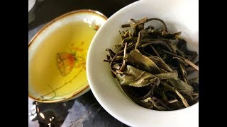 What Makes A Puerh 🤢BAD🤢 \u0026 Why I Won't Sell It!