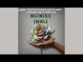 Nginike Imali