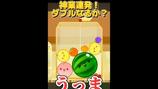 神業連発！ダブルスイカなるか？【スイカゲーム】