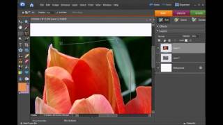 Four Selection Tools (the basics) in Photoshop Elements
