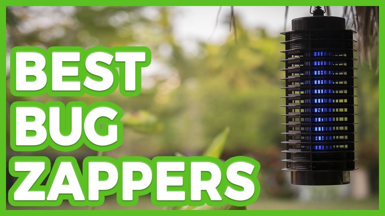 9 Best Bug Zappers 🌄 The Best Bug Zapper In 2019 - YouTube