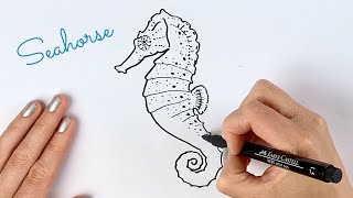 Beginners how to draw a seahorse