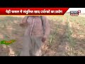 आज annadata में जानिए गन्ने की खूंटी फसल से अधिक उपज लेने की तकनीक sugarcane cultivation