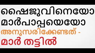 മാർപാപ്പ തന്നോടു പറഞ്ഞ കാര്യം വെളിപ്പെടുത്തി തട്ടിൽ പിതാവ്