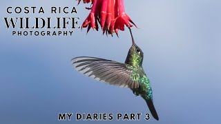 Costa Rica Wildlife Photography | My Diaries Final Part 3 - Finding Birds \u0026 The Resplendent Quetzal