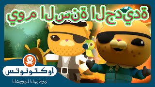 أوكتونوتس | 🐻‍❄️😼🐧 اللحظات العائلية المميزة لليلة العام الجديد! 🎊✨ | حلقات مجمعة