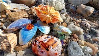 Am sauberen Strand gibt es Kristallkugeln und die Kokosnussschnecken im Riffbereich haben  Perlen.