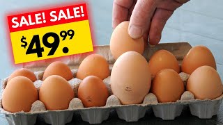 Eggs Prices Will Never Go Down