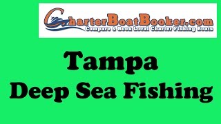 Tampa Deep Sea Fishing - Charter Boat Booker