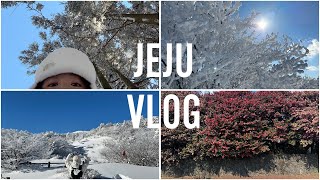 제주도vlog. 한라산등반|동백꽃도 보고 설산도 구경하는 제주도 2박3일 여행브이로그 🤍🗻