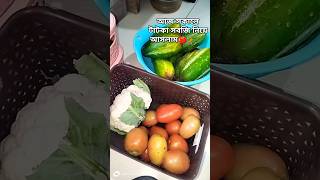 টাটকা সবজি🍅🥕🥒#shortsfeed #shorts#vegetables#video#najmunnahar tuli 2025