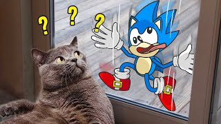 Funny animals - Funny cats/ dogs - Funny animal videos - Funniest Cats And Dogs - Sonic in Real Life