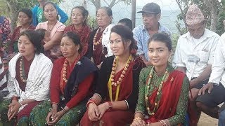 मगरनीहरु मादल बजेसी यसरी नाच्छ्न पाल्पा रानीबास तिर । मैलिक झामरे cultural song palpa ranibhas