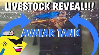 AVATAR AQUARIUM: LIVESTOCK REVEAL!!!