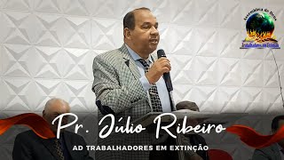 Pr. Júlio Ribeiro / AD Trabalhadores Em Extinção