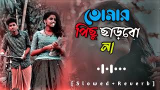 Tomar Pichu Charbo Na | তোমার পিছু ছাড়বো না | Mr Lofi Boy | [Slowed+Reverb] | Bangla New Song 2023