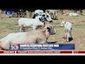 FG Intensifies Efforts To Resolve Farmers Herdsmen Rustlers Crisis