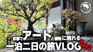 【多肉植物/塊根植物】#293 - 京都でアートと植物に触れる旅VLOG - 2日目【遠征動画】