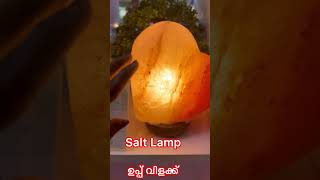 ഉപ്പു കൊണ്ടു ഒരു വിളക്ക് കണ്ടാലോ in UK |salt lamp|ഉപ്പ് വിളക്ക് |#shorts #shortsfeed #shortvideo