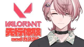 【VALORANT】新キャラ先行体験させていただく and カスタム 【水無瀬/ネオポルテ】