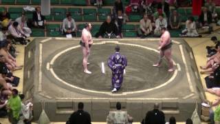 若乃島-白鷹山/2017.5.18(26)/wakanoshima-hakuyozan/day5 #sumo