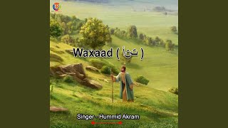 Waxaad