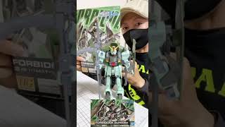 フォビドゥンガンダムのR09 HGガンプラを組立レビュー！[ガンダムSEED]I build a Gunpla \