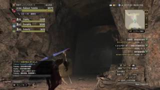 DDON　＃修練　ミストハンター　Lv38×4