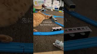 プラレールの進行阻止する猫　#cat #猫 #猫のいる暮らし #猫のいる生活 #猫動画 #猫好きさんと繋がりたい #ねこ #プラレール #保護猫