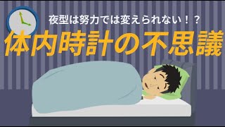 夜型は努力で変えられない！？体内時計の不思議