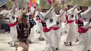 《徳島市阿波おどり2017》悠久連 イオンモール徳島店 2017年8月12日 awaodori in TOKUSHIMA  Japan