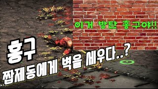 [홍구] 저황..드디어 짭제동에게 벽을 세우다. // 스타크래프트 : 리마스터 래더 홍구 VS 짭제동