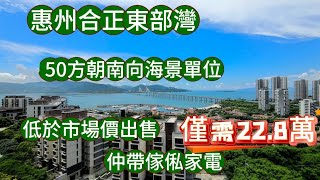 惠州合正東部灣海景單位，50平南向海景送全屋傢俬家電拎包入住總價僅需22.8萬#大灣區樓盤 #退休生活 #碧桂園十里銀灘