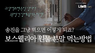 보스웰리아 먹는방법 부작용 환 분말 원물 나눌맨 종류별 살펴봄