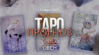 #ТАРО ПРОГНОЗ НА СІЧЕНЬ 2025. ОВЕН