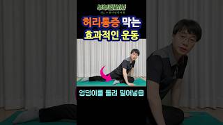 223. 허리통증 막는 고관절 신전운동 ㅣft 부부한의사