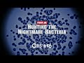 frontline hunting the nightmare bacteria