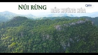 [Ký sự núi rừng bắc Hướng Hóa] - Kỳ thú đại ngàn