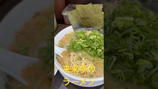 ラーメン最高！来来亭のこってりラーメン大盛り、海苔マシ、餃子、ご飯セットRamen rairaitei in Japan