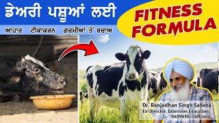 ਡੇਅਰੀ  ਪਸ਼ੂਆਂ  ਲਈ  Fitness Formula |  Dairy farming tips