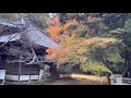 紅葉の名所「佛通寺」広島県三原市